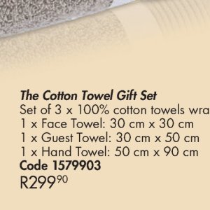Towel at Justine