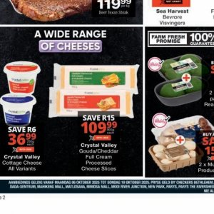 Gouda at Checkers