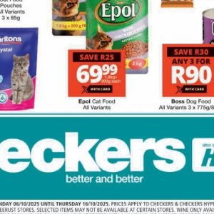  CAT at Checkers