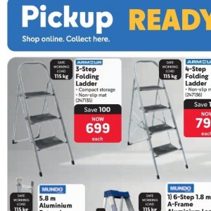 Ladder at Makro