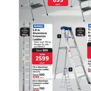 Ladder at Makro