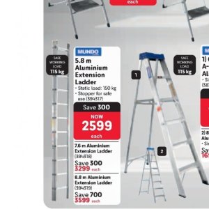 Ladder at Makro