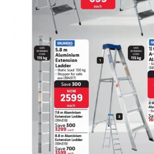 Ladder at Makro