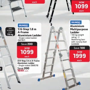 Ladder at Makro