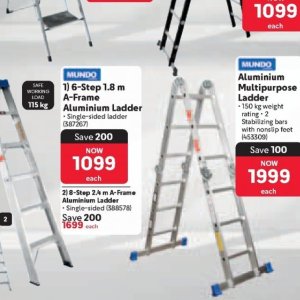 Ladder at Makro
