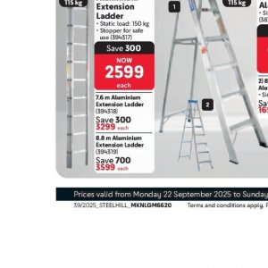 Ladder at Makro