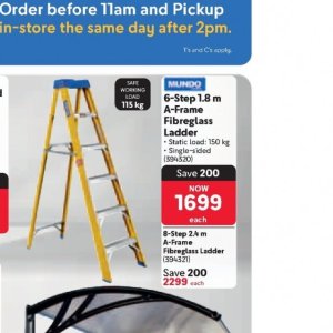 Ladder at Makro
