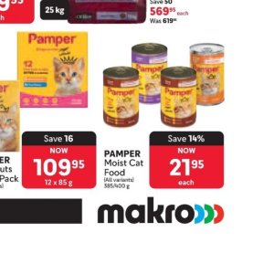  CAT at Makro
