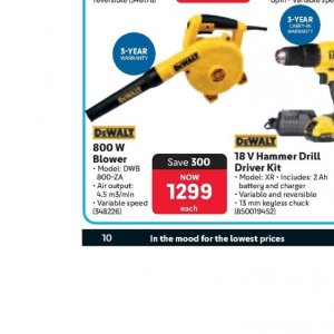  DeWalt at Makro