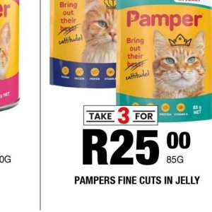   at Take n Pay