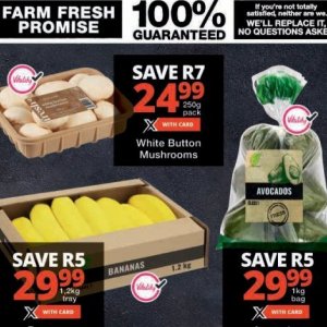 Mushrooms at Checkers