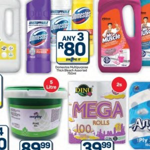 Bleach at Pick n Pay Hyper
