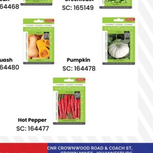 Pumpkin at Africa Cash and Carry