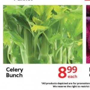 Celery at Oxford freshmarket