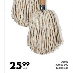 Mop