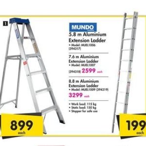 Ladder at Makro