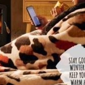 Fan heaters at Home Choice