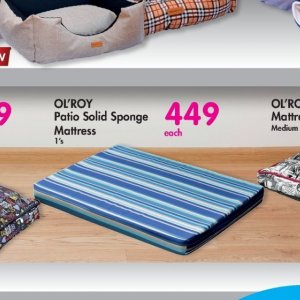 Sponge at Makro