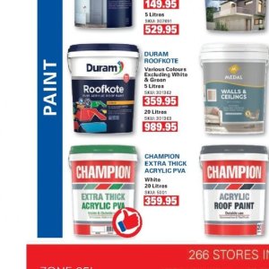 Paint at Cashbuild