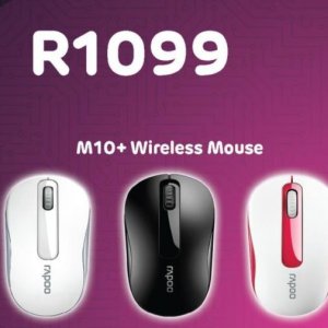 Mouse at Computer Mania