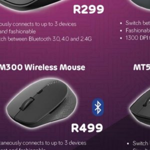 Mouse at Computer Mania