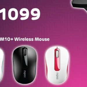 Mouse at Computer Mania