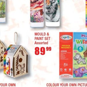 Paint at Crazy Store