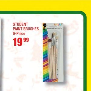 Paint brushes at Crazy Store