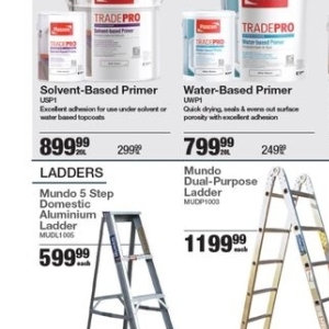 Ladder at Mica