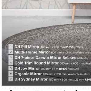 Mirror at Builders Warehouse