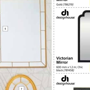 Mirror at Builders Warehouse