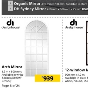 Mirror at Builders Warehouse