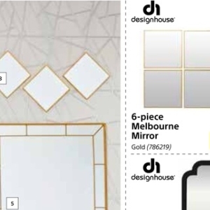 Mirror at Builders Warehouse