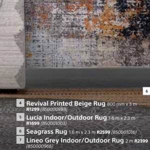Rug at Builders Warehouse