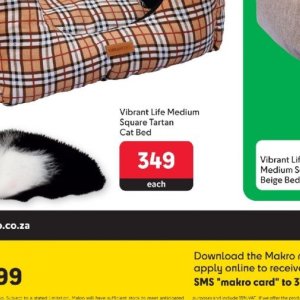  CAT at Makro