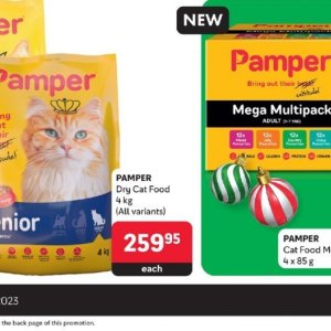  CAT at Makro