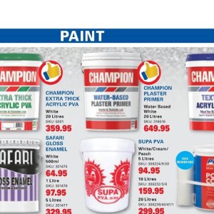 Paint at Cashbuild