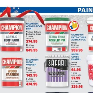 Paint at Cashbuild