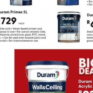 Paint at Brights Hardware