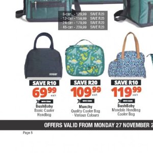 Cooler bag at Checkers Hyper