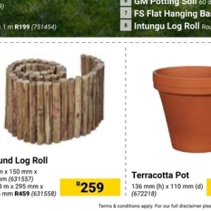 Terracotta at Builders Warehouse