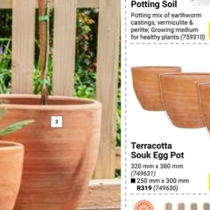 Terracotta at Builders Warehouse