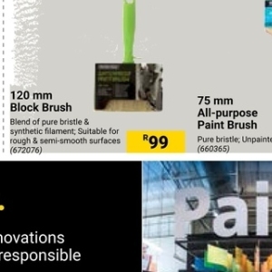 Paint at Builders Warehouse