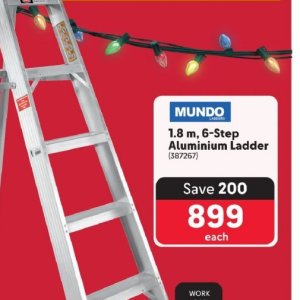 Ladder at Makro