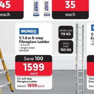 Ladder at Makro