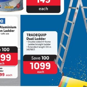 Ladder at Makro