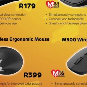 Mouse at Computer Mania