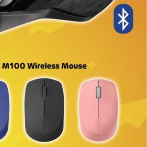 Mouse at Computer Mania