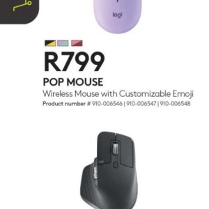 Mouse at Computer Mania