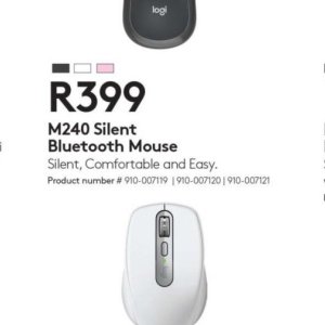 Mouse at Computer Mania
